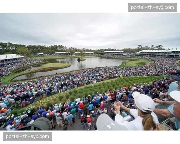 TPC锯齿草体育馆球场第17洞岛型果岭进行加固工程